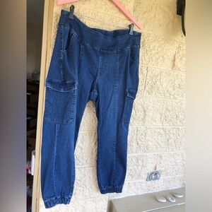 Belle by Kim Gravel cargo jeans 18WP